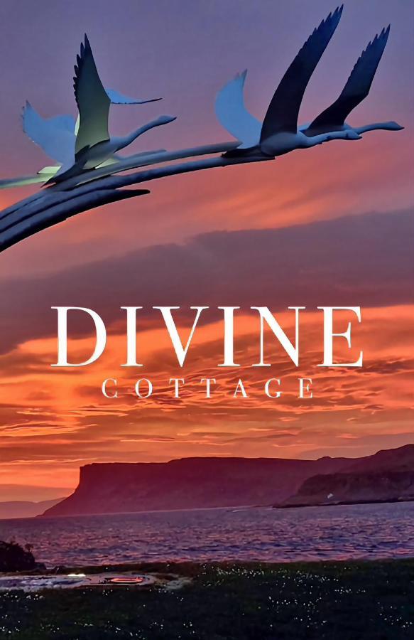 Divine Cottage Баликасъл Екстериор снимка